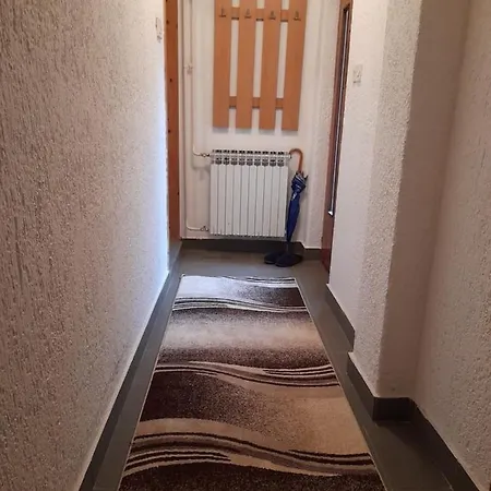 Studio Apartman-Sadrvan * 维索科